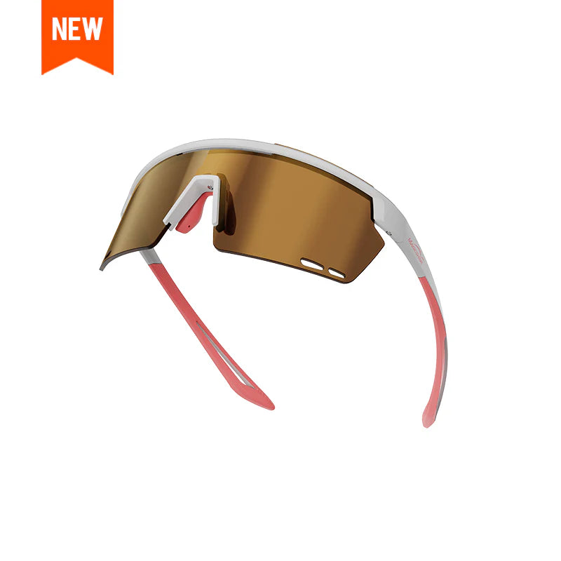 GAFAS ROULEUR CLASSIC